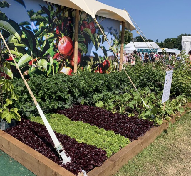 Food bed